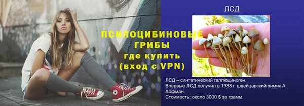 прущая мука Армянск
