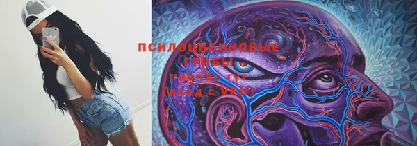 спиды Арсеньев