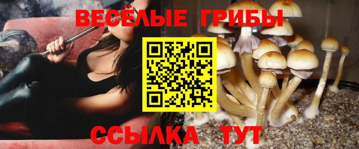 Галлюциногенные грибы ЛСД Кыштым
