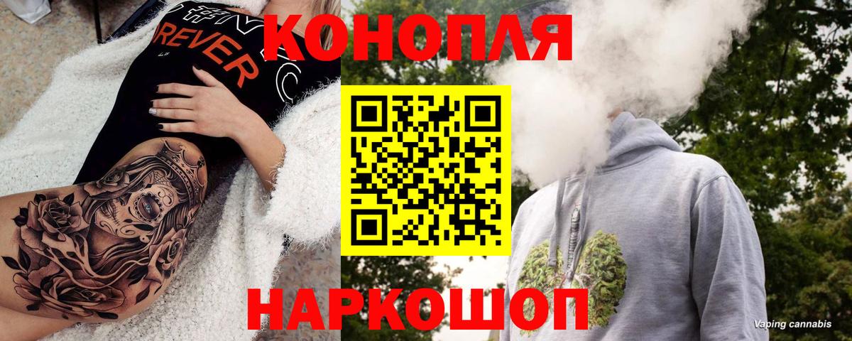 Каннабис OG Kush Кыштым